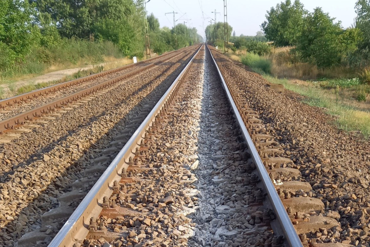 Vitézy Dávid: újra elérhető a Vonatinfo webes felülete
