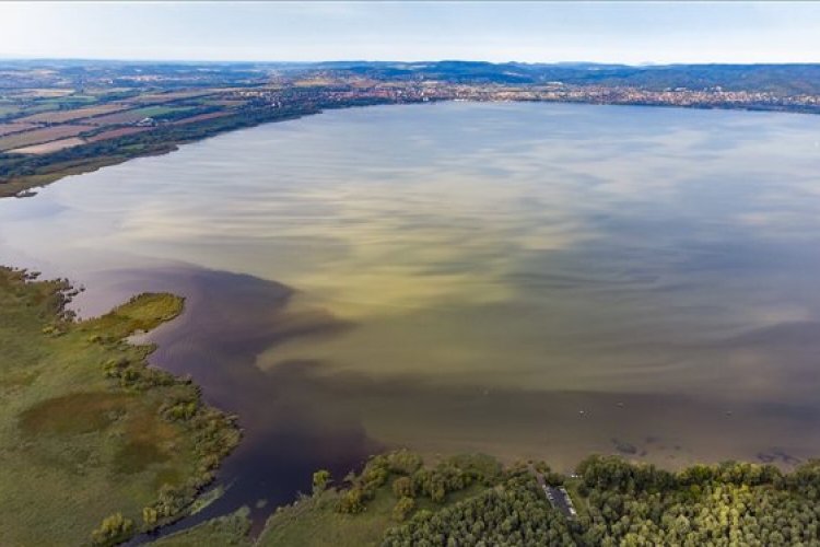 A lehűlés megállította az algák szaporodását a Balatonban