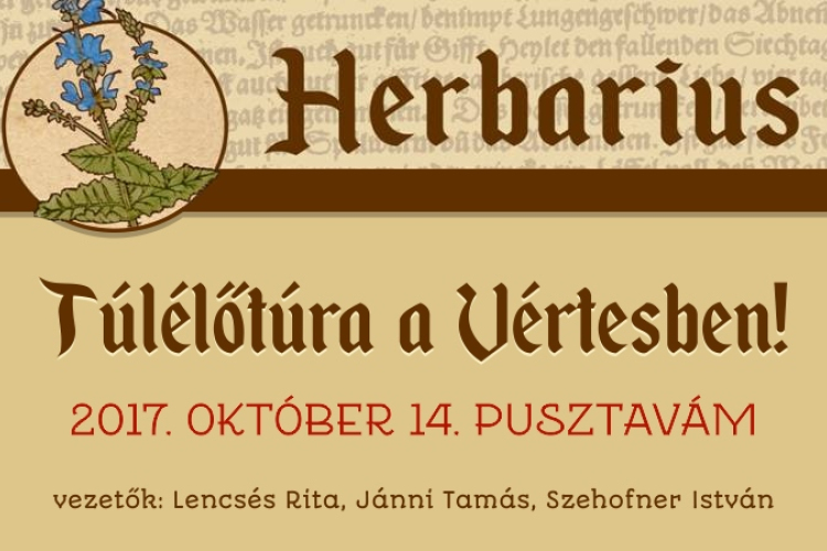 Rendhagyó Herbarius program – túlélőtúra lesz hétvégén a Vértesben